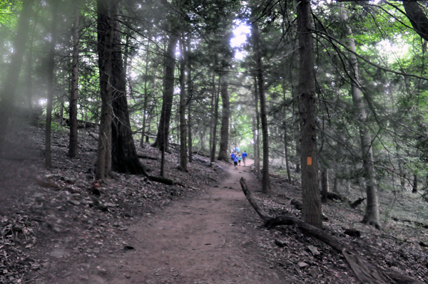 the trail